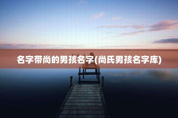 名字带尚的男孩名字(尚氏男孩名字库)