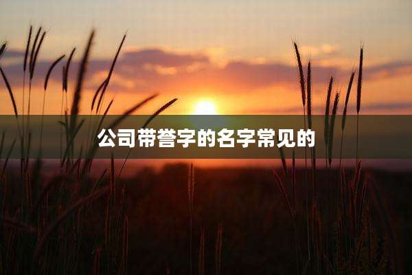 公司带誉字的名字常见的