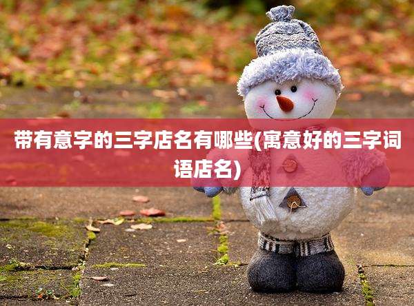 带有意字的三字店名有哪些(寓意好的三字词语店名)