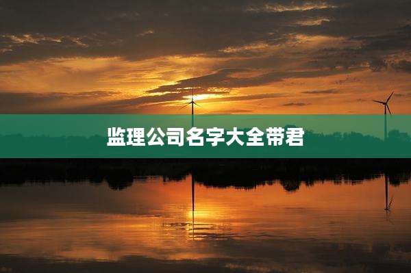 监理公司名字大全带君