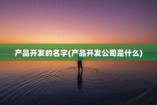 产品开发的名字(产品开发公司是什么)