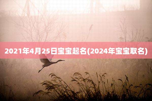 2021年4月25日宝宝起名(2024年宝宝取名)