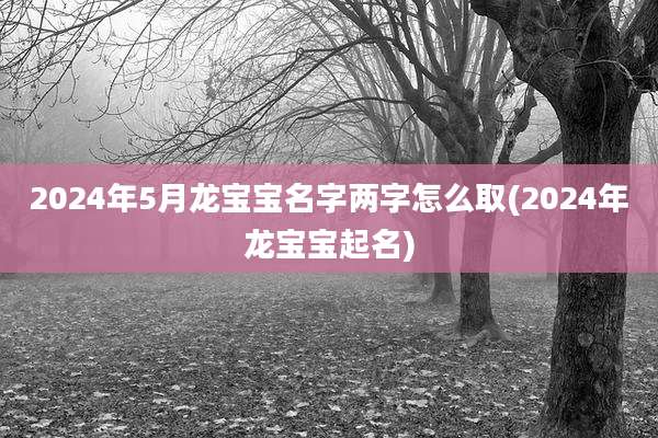 2024年5月龙宝宝名字两字怎么取(2024年龙宝宝起名)