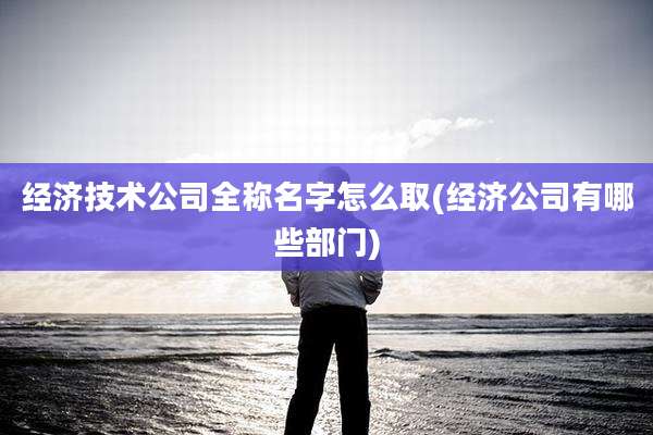 经济技术公司全称名字怎么取(经济公司有哪些部门)
