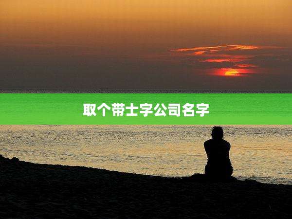 取个带士字公司名字