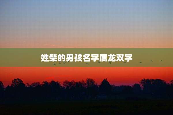 姓柴的男孩名字属龙双字