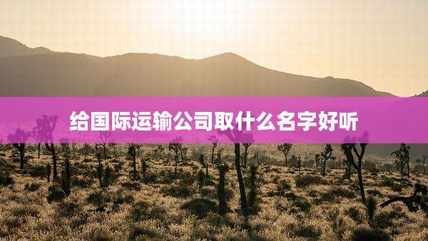 给国际运输公司取什么名字好听