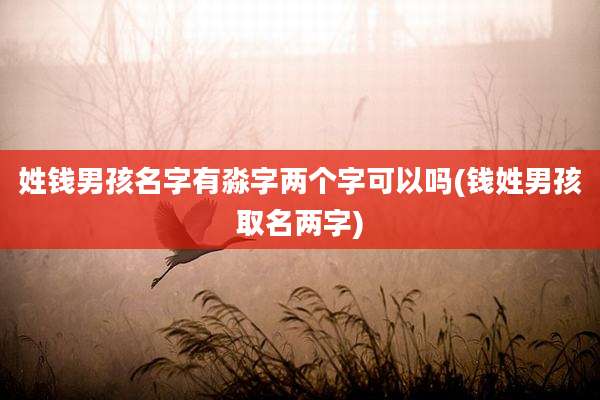 姓钱男孩名字有淼字两个字可以吗(钱姓男孩取名两字)