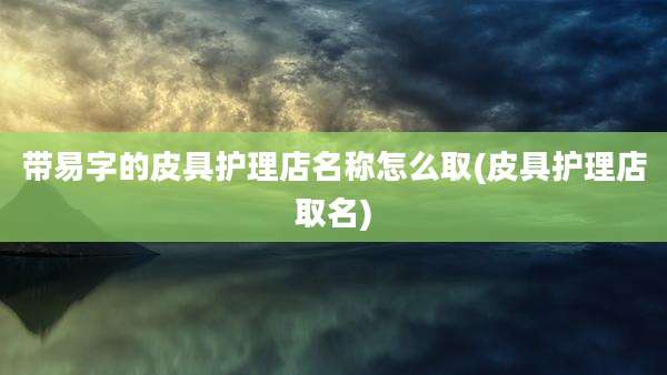 带易字的皮具护理店名称怎么取(皮具护理店取名)