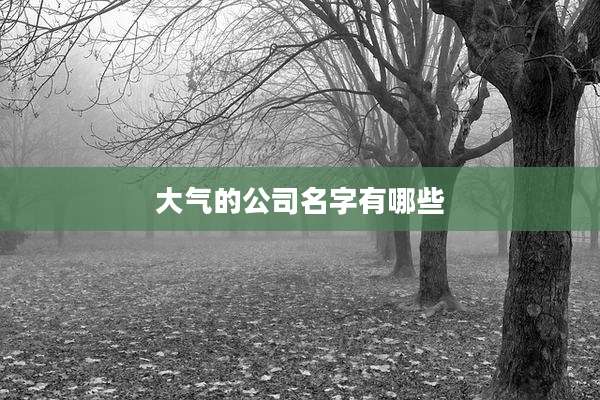 大气的公司名字有哪些