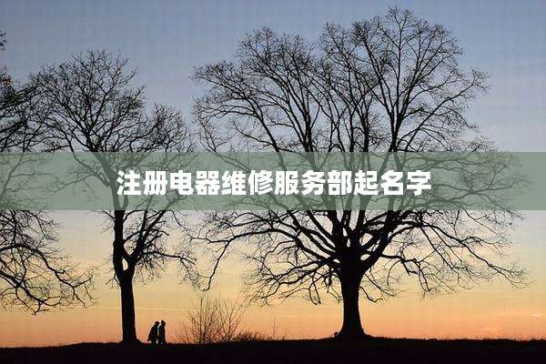 注册电器维修服务部起名字
