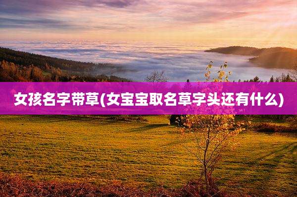 女孩名字带草(女宝宝取名草字头还有什么)