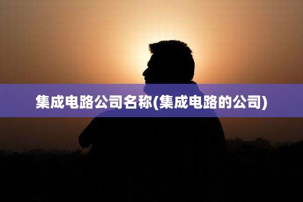 集成电路公司名称(集成电路的公司)