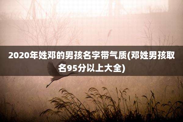 2020年姓邓的男孩名字带气质(邓姓男孩取名95分以上大全)