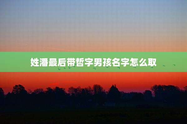 姓潘最后带哲字男孩名字怎么取