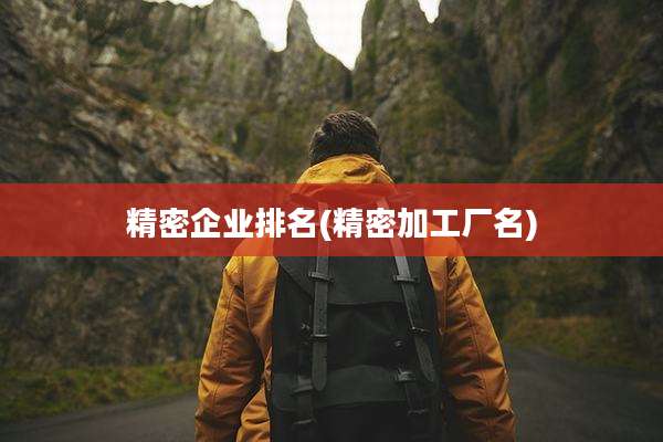 精密企业排名(精密加工厂名)
