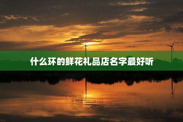 什么环的鲜花礼品店名字最好听