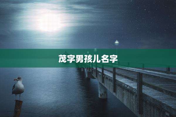 茂字男孩儿名字