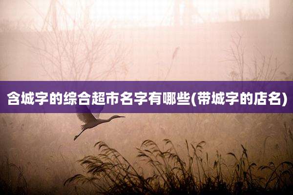 含城字的综合超市名字有哪些(带城字的店名)