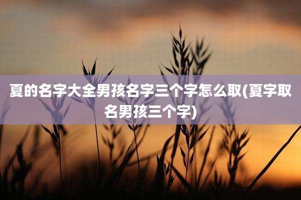 夏的名字大全男孩名字三个字怎么取(夏字取名男孩三个字)