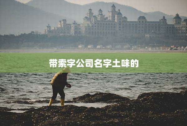 带索字公司名字土味的