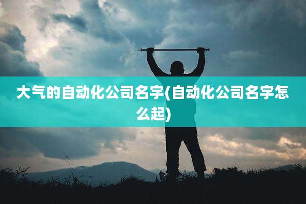 大气的自动化公司名字(自动化公司名字怎么起)