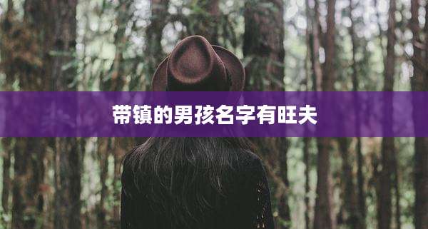 带镇的男孩名字有旺夫