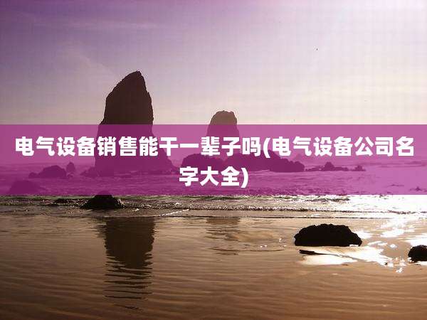 电气设备销售能干一辈子吗(电气设备公司名字大全)