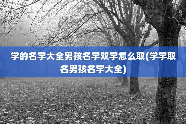 学的名字大全男孩名字双字怎么取(学字取名男孩名字大全)