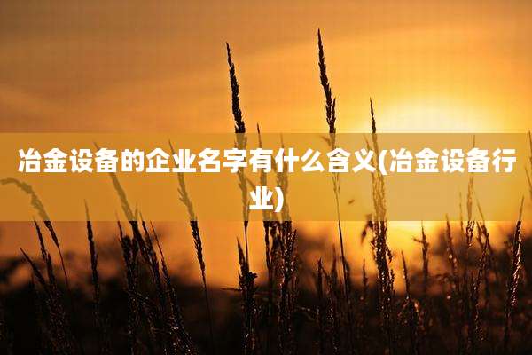 冶金设备的企业名字有什么含义(冶金设备行业)
