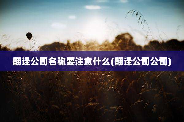翻译公司名称要注意什么(翻译公司公司)