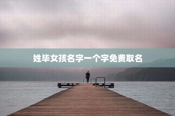 姓毕女孩名字一个字免费取名