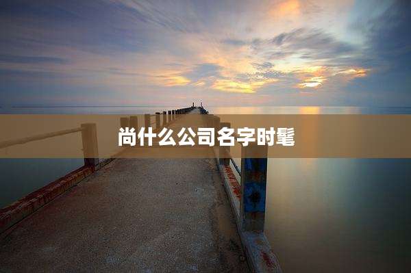 尚什么公司名字时髦