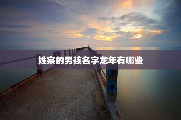 姓宗的男孩名字龙年有哪些