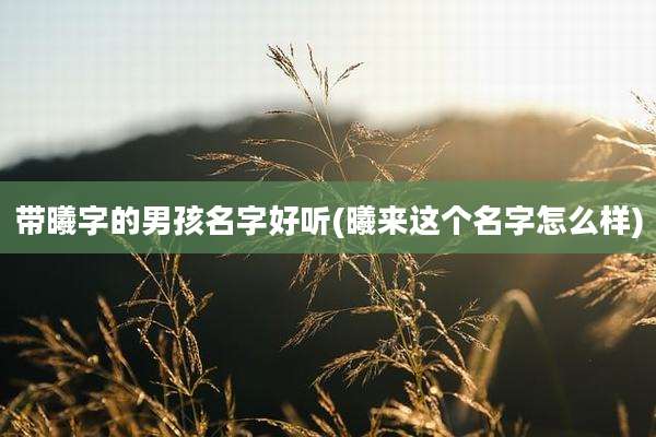 带曦字的男孩名字好听(曦来这个名字怎么样)