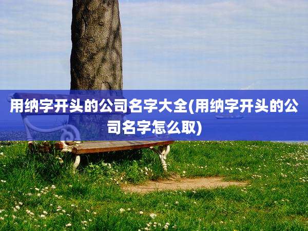 用纳字开头的公司名字大全(用纳字开头的公司名字怎么取)