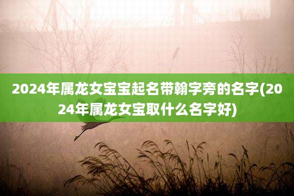 2024年属龙女宝宝起名带翰字旁的名字(2024年属龙女宝取什么名字好)