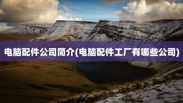 电脑配件公司简介(电脑配件工厂有哪些公司)