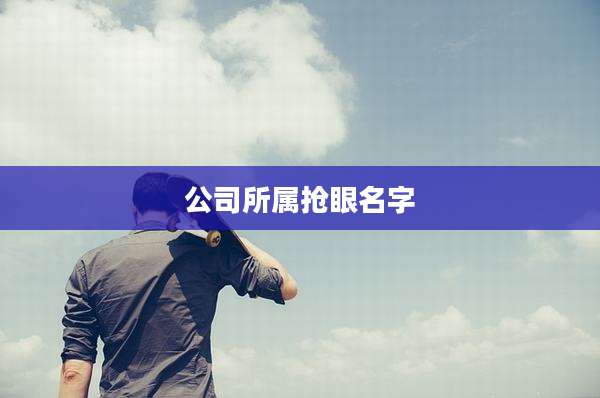 公司所属抢眼名字