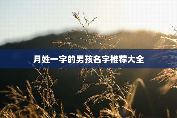 月姓一字的男孩名字推荐大全