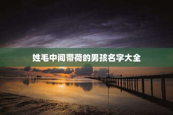 姓毛中间带荷的男孩名字大全