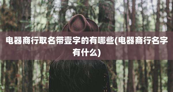 电器商行取名带壹字的有哪些(电器商行名字有什么)