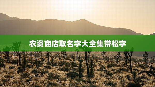 农资商店取名字大全集带松字