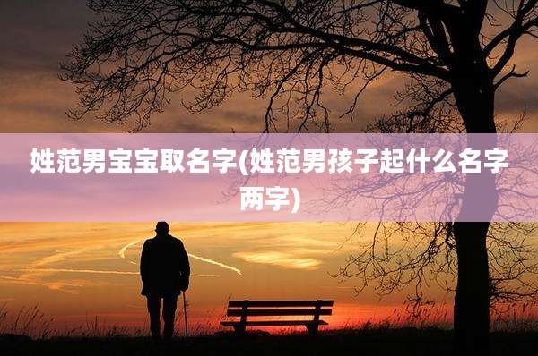 姓范男宝宝取名字(姓范男孩子起什么名字两字)