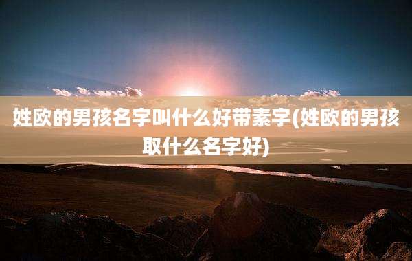 姓欧的男孩名字叫什么好带素字(姓欧的男孩取什么名字好)