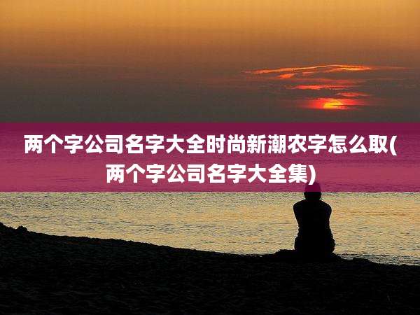 两个字公司名字大全时尚新潮农字怎么取(两个字公司名字大全集)