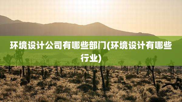 环境设计公司有哪些部门(环境设计有哪些行业)
