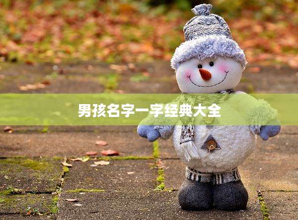 男孩名字一字经典大全