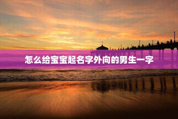 怎么给宝宝起名字外向的男生一字