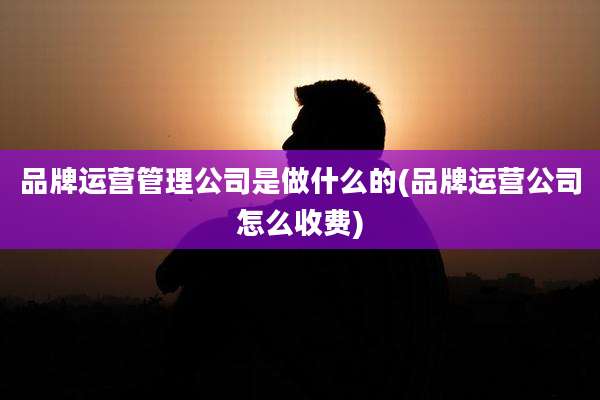 品牌运营管理公司是做什么的(品牌运营公司怎么收费)